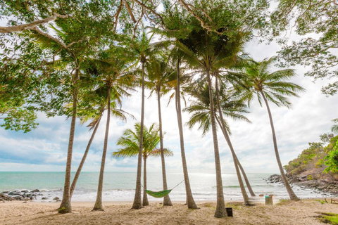 Turtle Cove Beach Resort - Adults Only LGBTQIA & Allies - Swimm 3