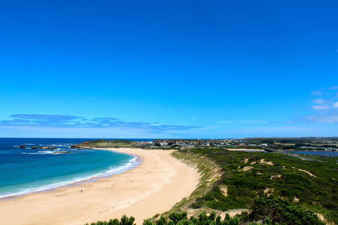 Twelve Apostles Beach House B&B - Renee 1