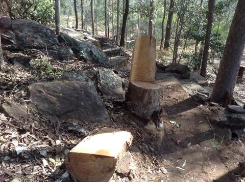 Twilight Grove Farm - Renee 3