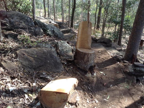 Twilight Grove Farm - Renee 3