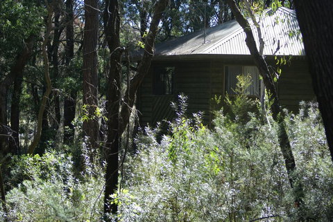 Twin Falls Bush Cottages - Internet Find 0