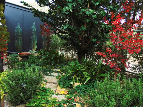 Twin Palms Castlemaine - Qld Realsetate 1