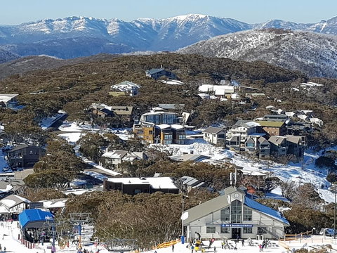 Twin Towers 504 B - Renee 1