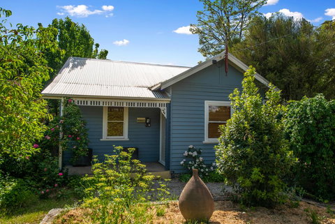 Ultimate Ultimo - Renee 0