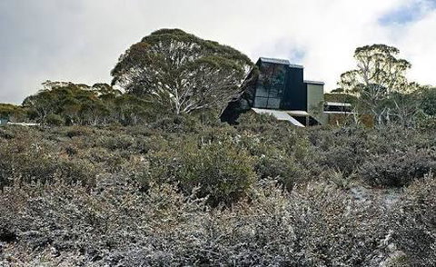 Under The Moonlight - Swimm 2