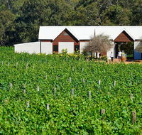 Upper Reach Spa Cottage - Qld Realsetate