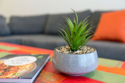 Urban Jungle! Executive Apartment In Heart Of CBD - Swimm 1