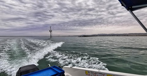 Vagabond Historic - Renee 1