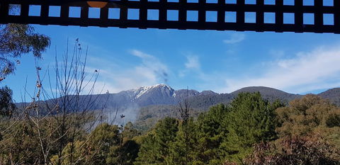 View Mount - Renee 1