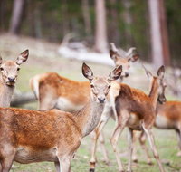 Villa Cervi Property - Renee