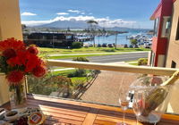 Business in Bermagui NSW Swimm Swimm