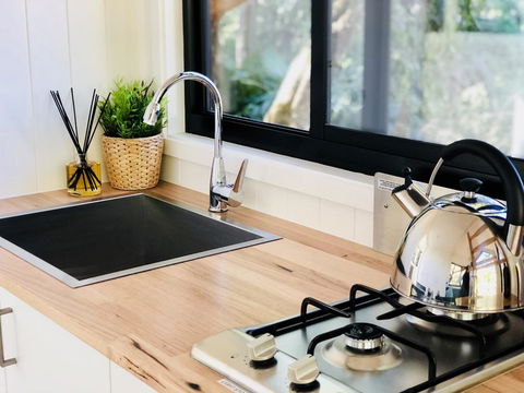 Walden Tiny House - Renee 1