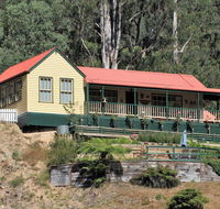 Walhalla Wild Cherry - Renee