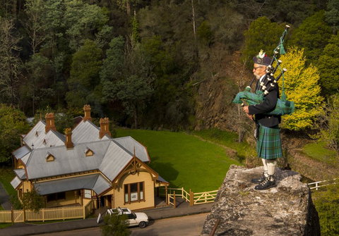 Walhalla Wild Cherry - Renee 2