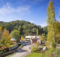 Walhalla's Star Hotel - Renee