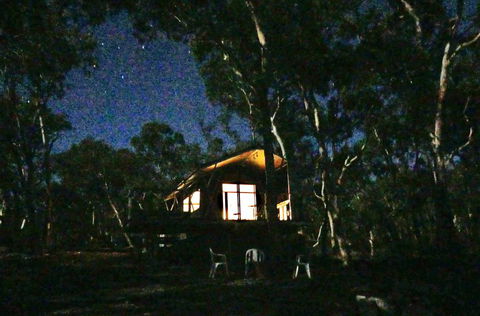 Wallabies Rest - Renee 2