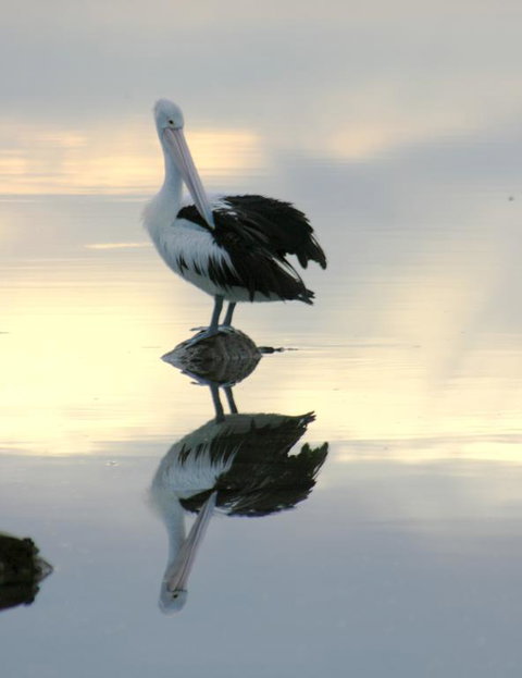 Wanderers Rest Of Kangaroo Island - Renee 3