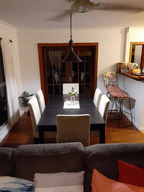 Wandering Palms - Swimm 2