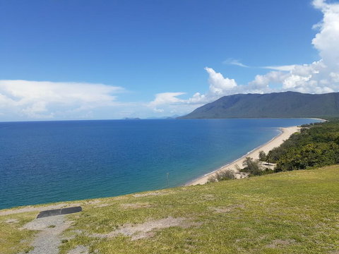 Wandering Palms - Swimm 1