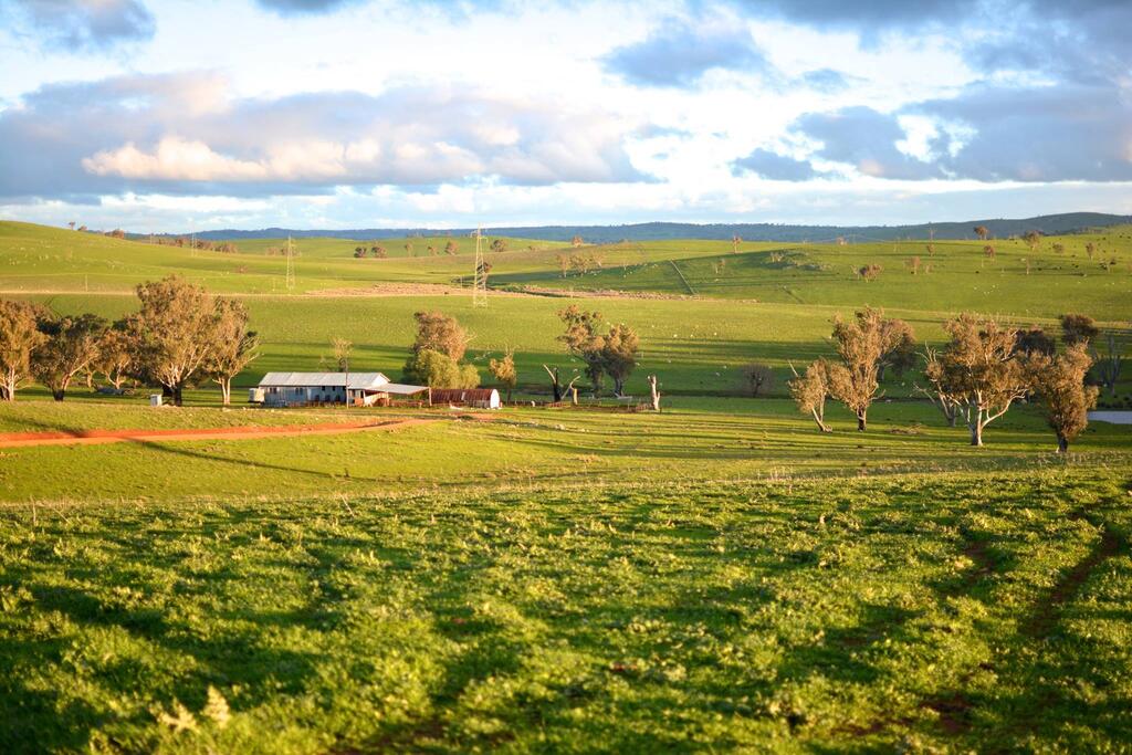 Taylors Flat NSW Internet Find