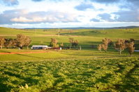 Business in Boorowa NSW Internet Find Internet Find
