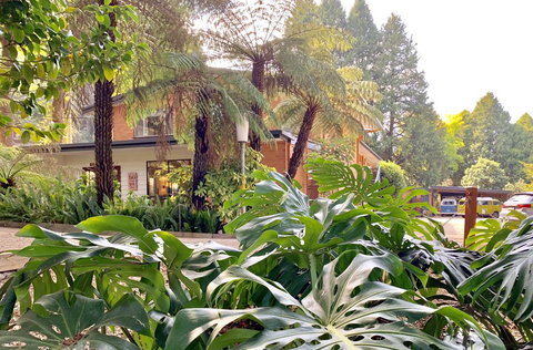 Warburton Motel - Qld Realsetate 0