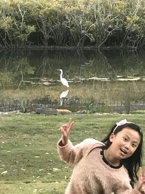 Water Side House With A Jetty - Qld Realsetate 2