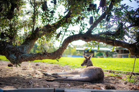 Waterfall Springs Retreat - Renee 1