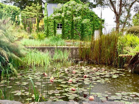 Waterhouse - Swimm 1