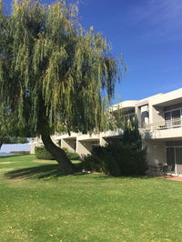 Business in Mulwala NSW Swimm Swimm