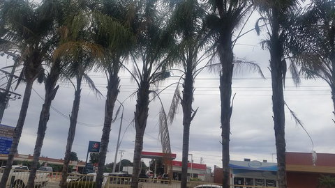 Wentworth Club Motel - Renee 2