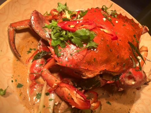 Food Delivery Darwin NT Swimm