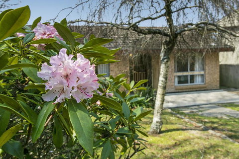 Wentworth Rose - Swimm 2