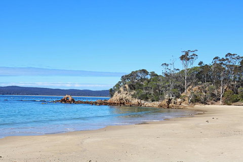 Whale Cove Circuit - Swimm 1