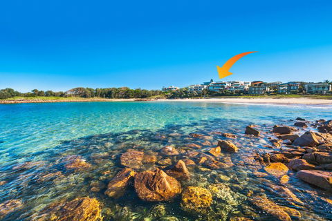 Whale View - Grand Luxurious Beachfront Home - Internet Find 0