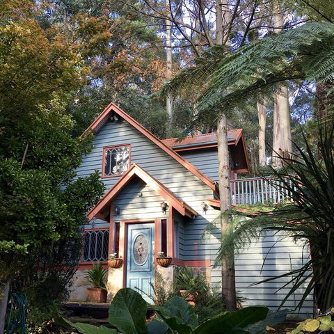 Wild Orchid Olinda - Renee 3