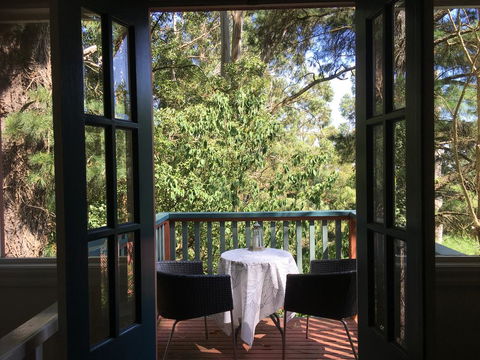 Wild Orchid Olinda - Renee 1