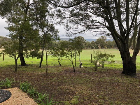 Willandra Tiny House - Renee 3