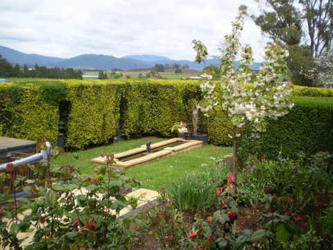 Willowlodge - Swimm 2