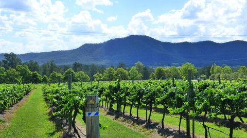 Winmark Wines - Renee 1