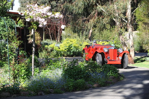 Wintarni Olives Cottage - Qld Realsetate 1