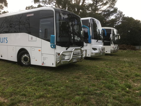 Woodmans Hill Motel - Renee 3