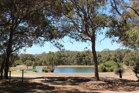 Woodstone Goanna Cottage - Renee 3