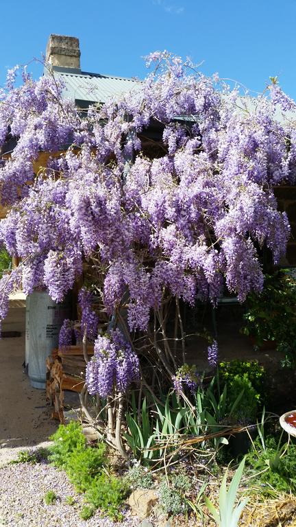 Woodvale At Cooma - Internet Find 3