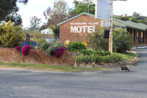 Woomargama Motel - Renee 3