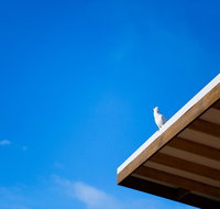 Wye Not Escape - Internet Find