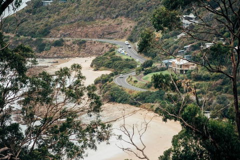 WYE UP - Through The Treetops. Out To The Sea. - Petrol Stations 2