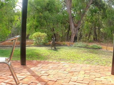 Yallingup Pet Friendly Bush Retreat - Petrol Stations 3