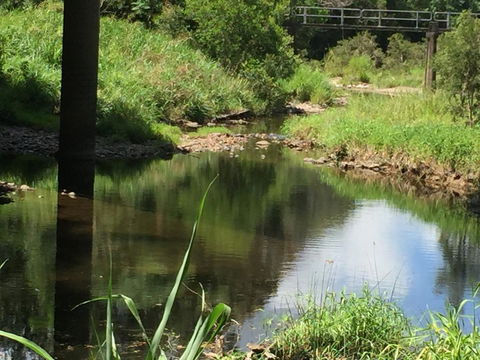 Yandina Caravan Park - Swimm 2