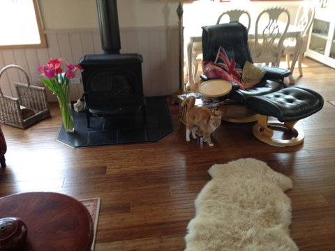 Yarra Glen Bed & Breakfast - Swimm 2